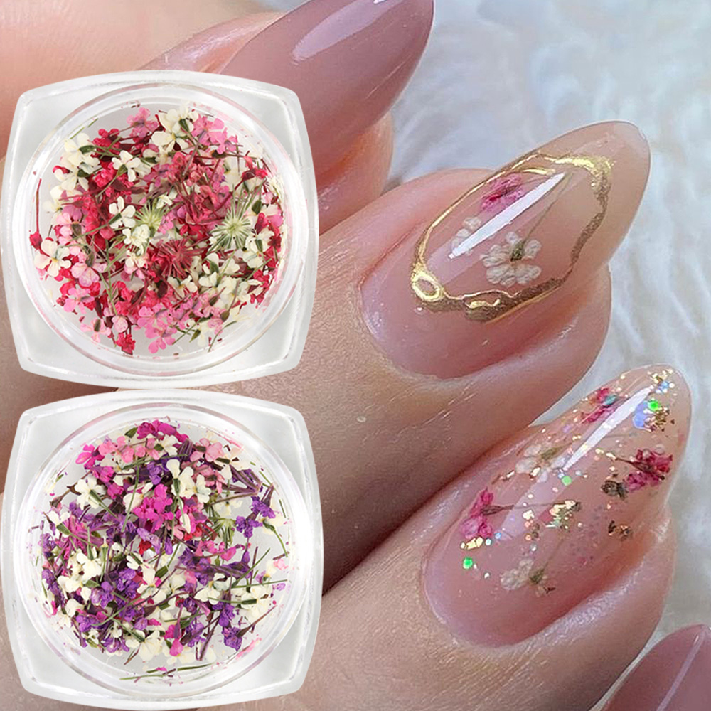 Mixed Colors Gypsophila False  - Dried Flower Bulk review and price