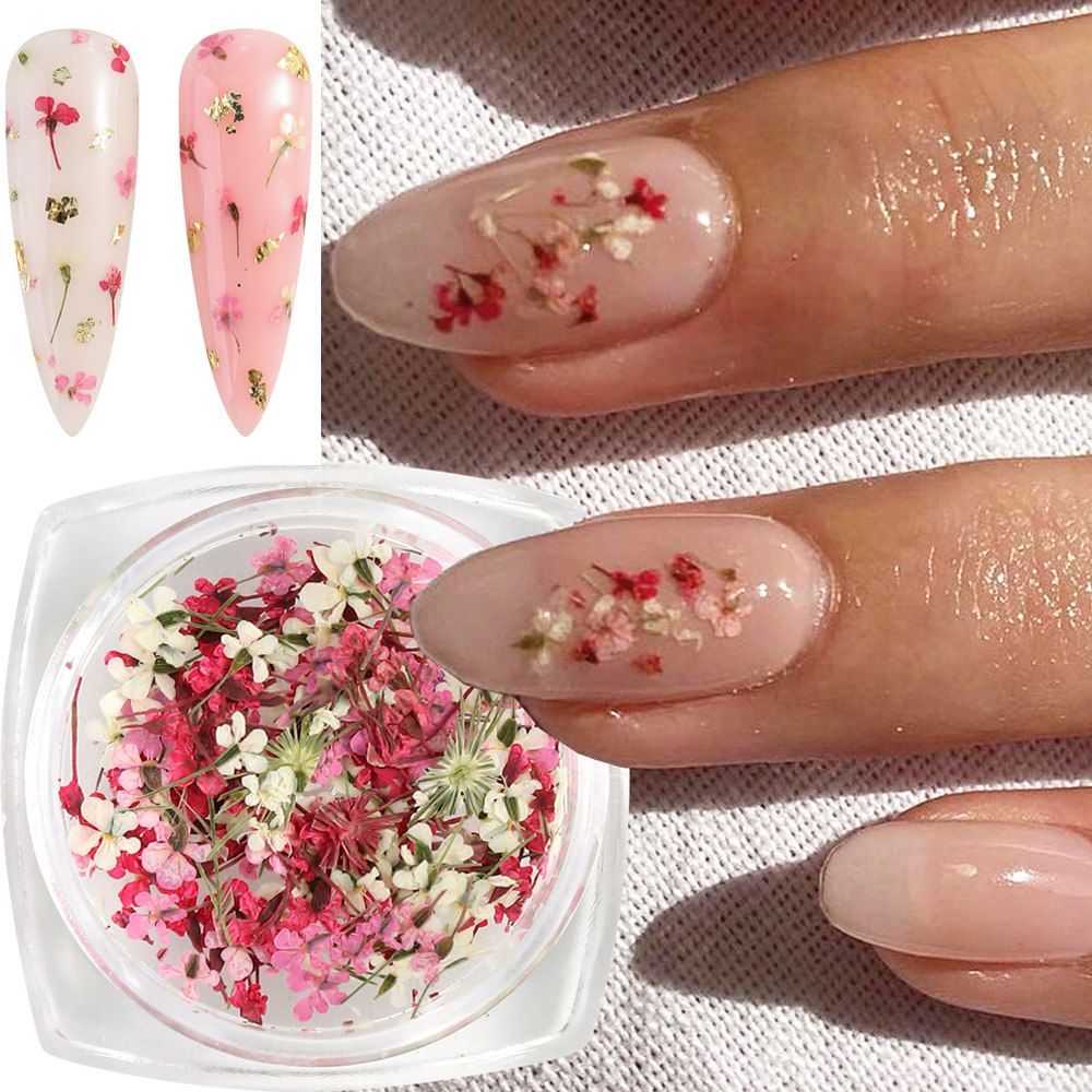Mixed Colors Gypsophila False  - Dried Flower Bulk review and price