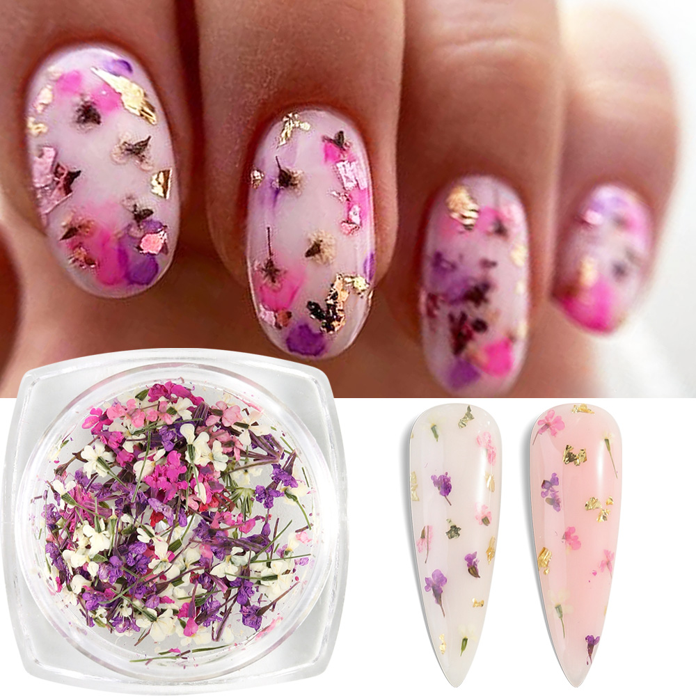 Mixed Colors Gypsophila False  - Dried Flower Bulk review and price