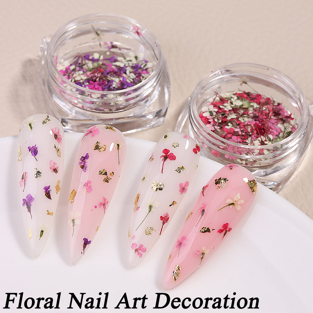 Mixed Colors Gypsophila False  - Dried Flower Bulk review and price