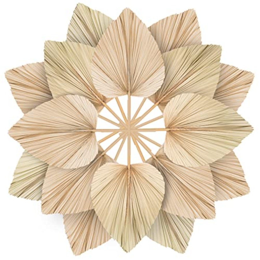 10 Large Bulk Boho Dried Palm  - Dried Flower Bulk review and price