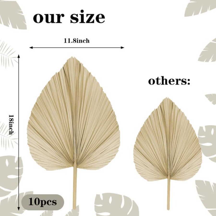 10 Large Bulk Boho Dried Palm  - Dried Flower Bulk review and price