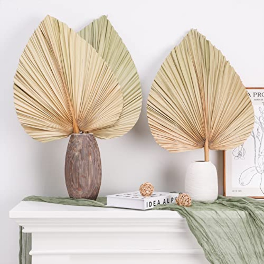 10 Large Bulk Boho Dried Palm  - Dried Flower Bulk review and price