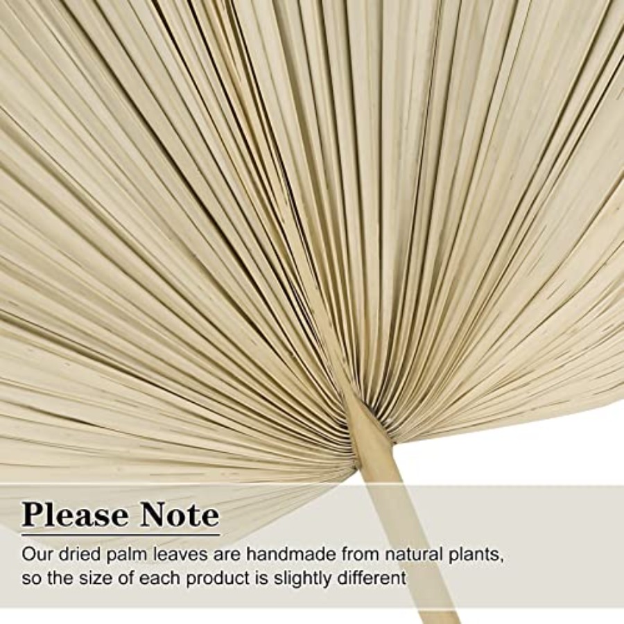 10 Large Bulk Boho Dried Palm  - Dried Flower Bulk review and price