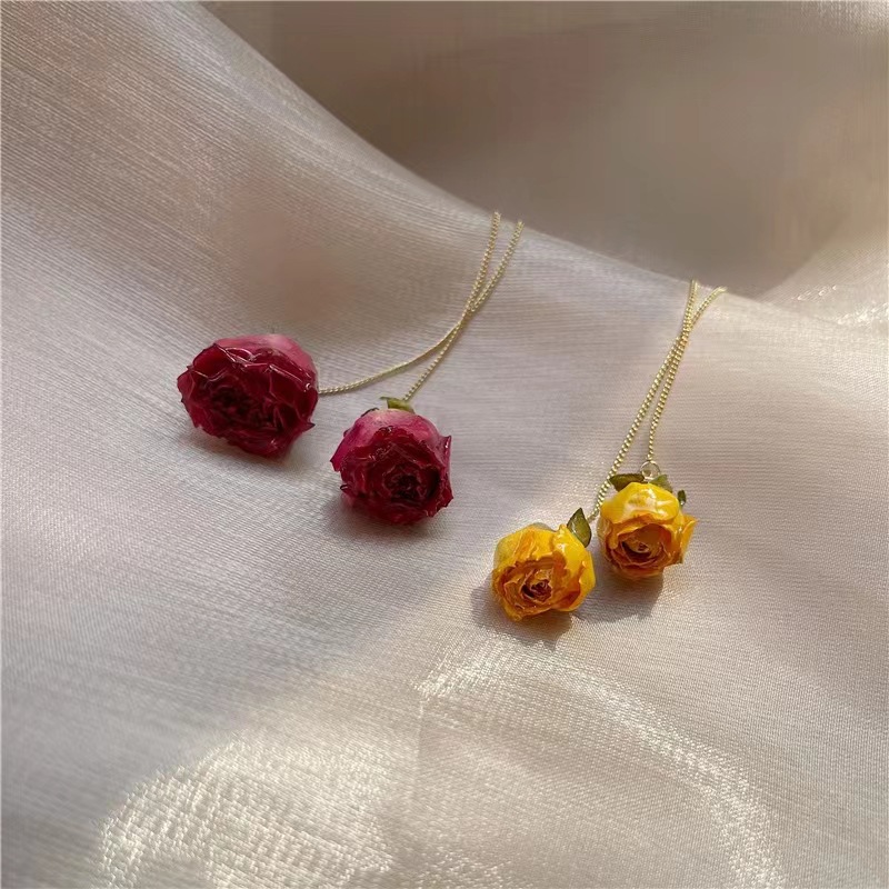 5pcs Drip Glue Roses Dried Flo - Dried Flower Bulk review and price