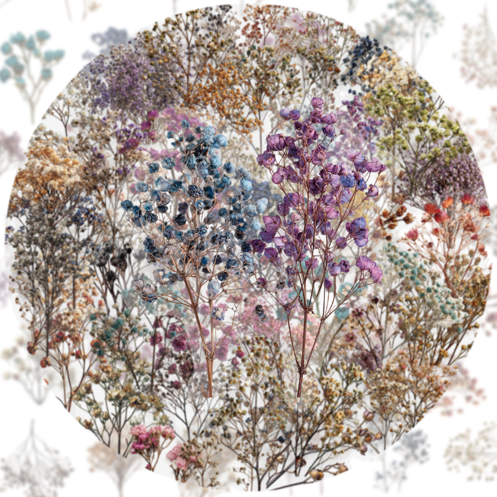 50PCS Retro Color Dried Flower - Dried Flower Bulk review and price