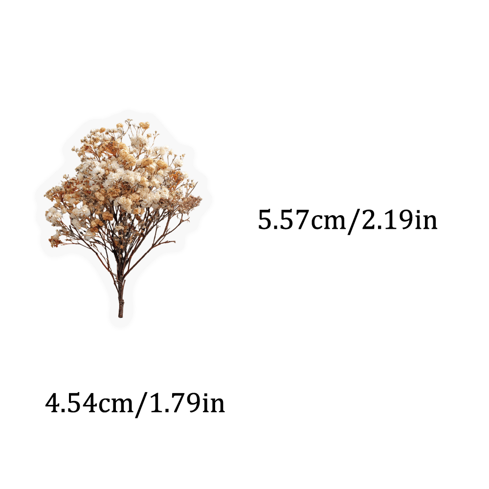 50PCS Retro Color Dried Flower - Dried Flower Bulk review and price