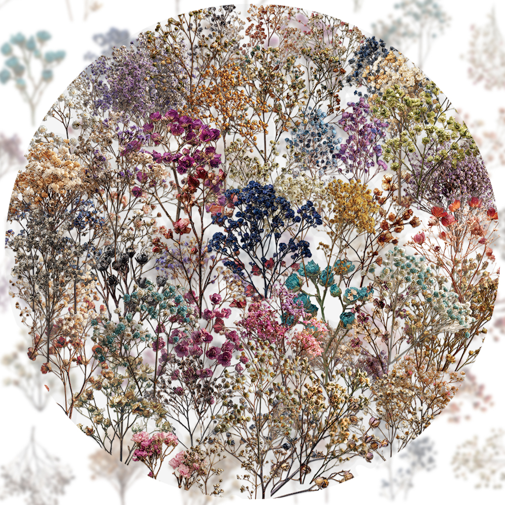 50PCS Retro Color Dried Flower - Dried Flower Bulk review and price