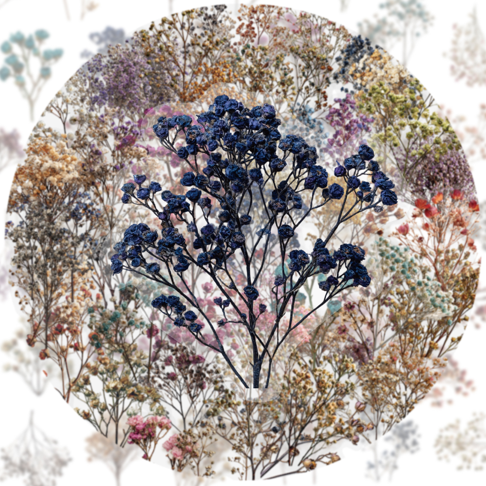50PCS Retro Color Dried Flower - Dried Flower Bulk review and price
