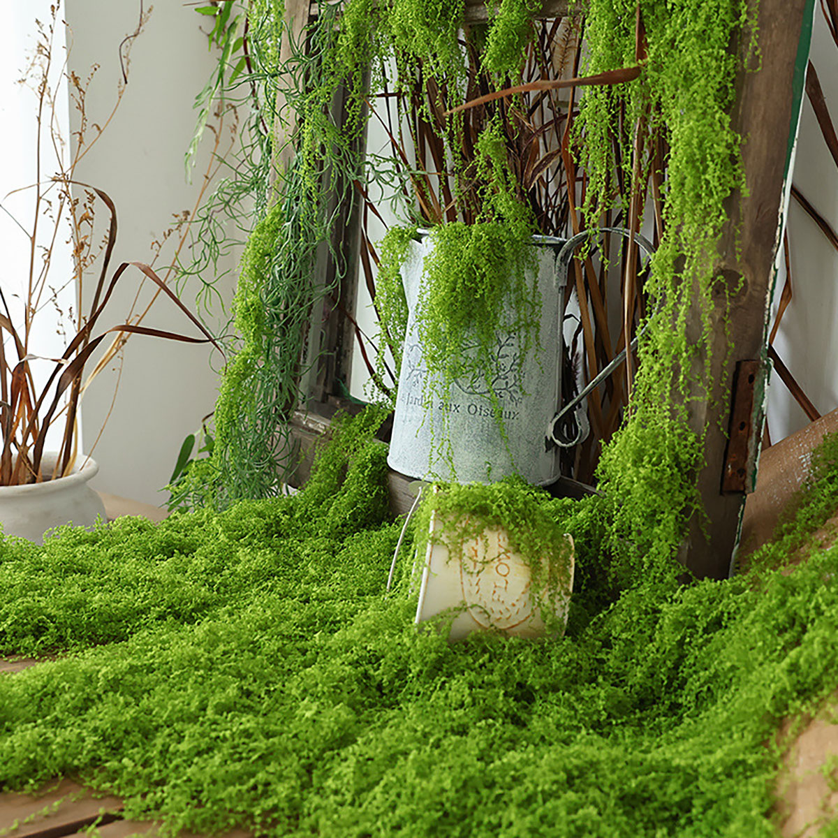 about 20g Artificial Green Pla - Terrarium Moss Art review and price