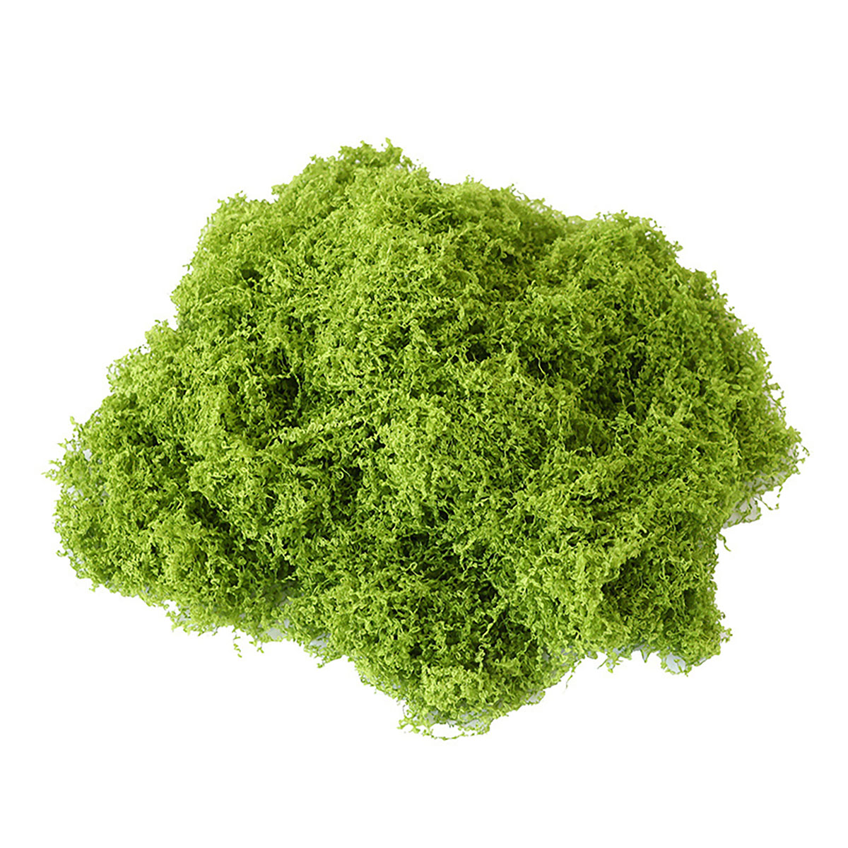 about 20g Artificial Green Pla - Terrarium Moss Art review and price