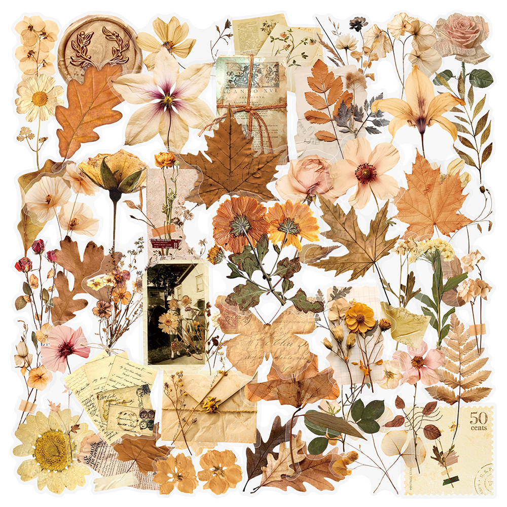 10/30/50pcs Transparent Dried  - Dried Flower Bulk review and price