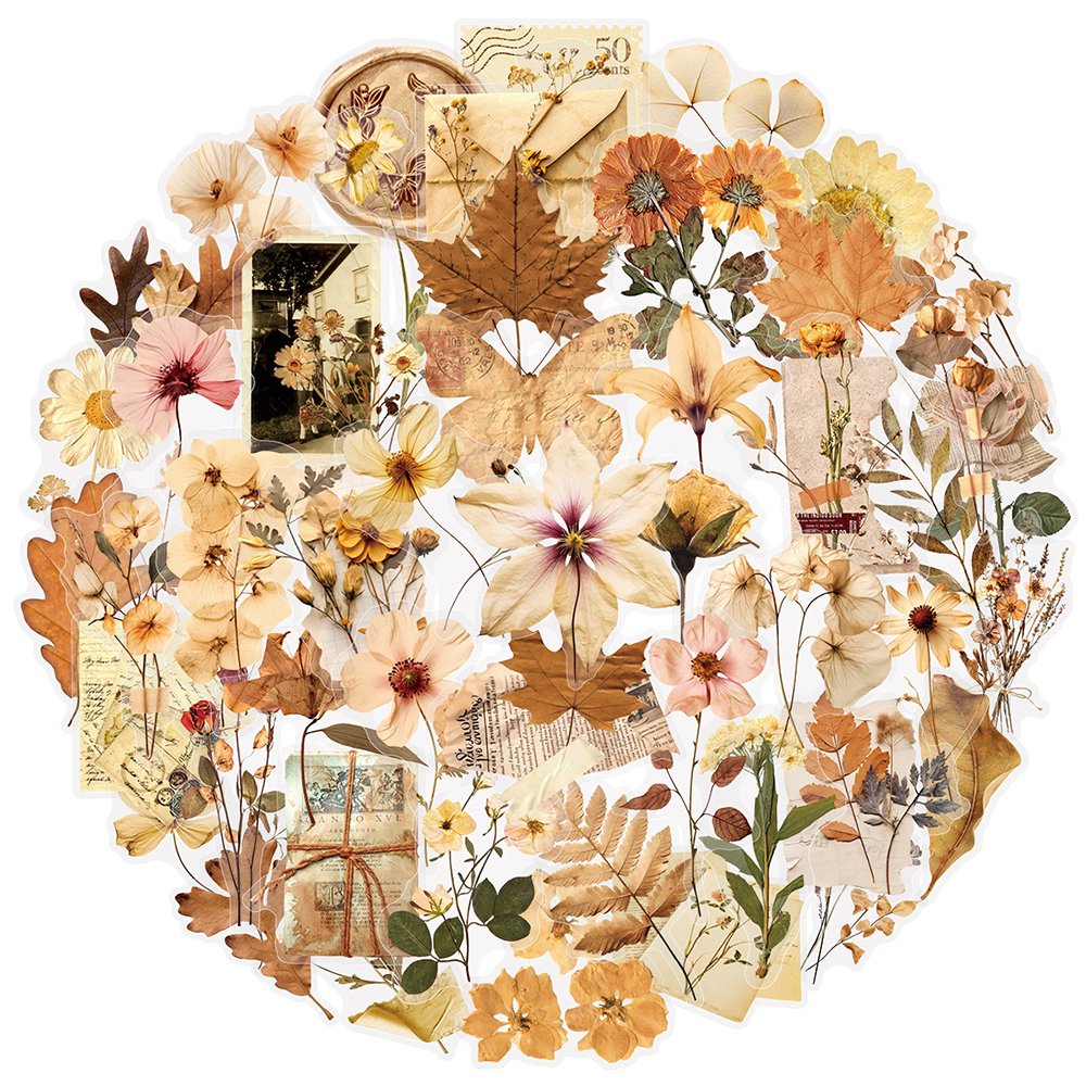 10/30/50pcs Transparent Dried  - Dried Flower Bulk review and price
