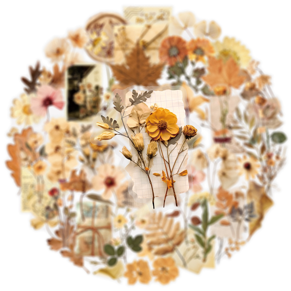 10/30/50pcs Transparent Dried  - Dried Flower Bulk review and price