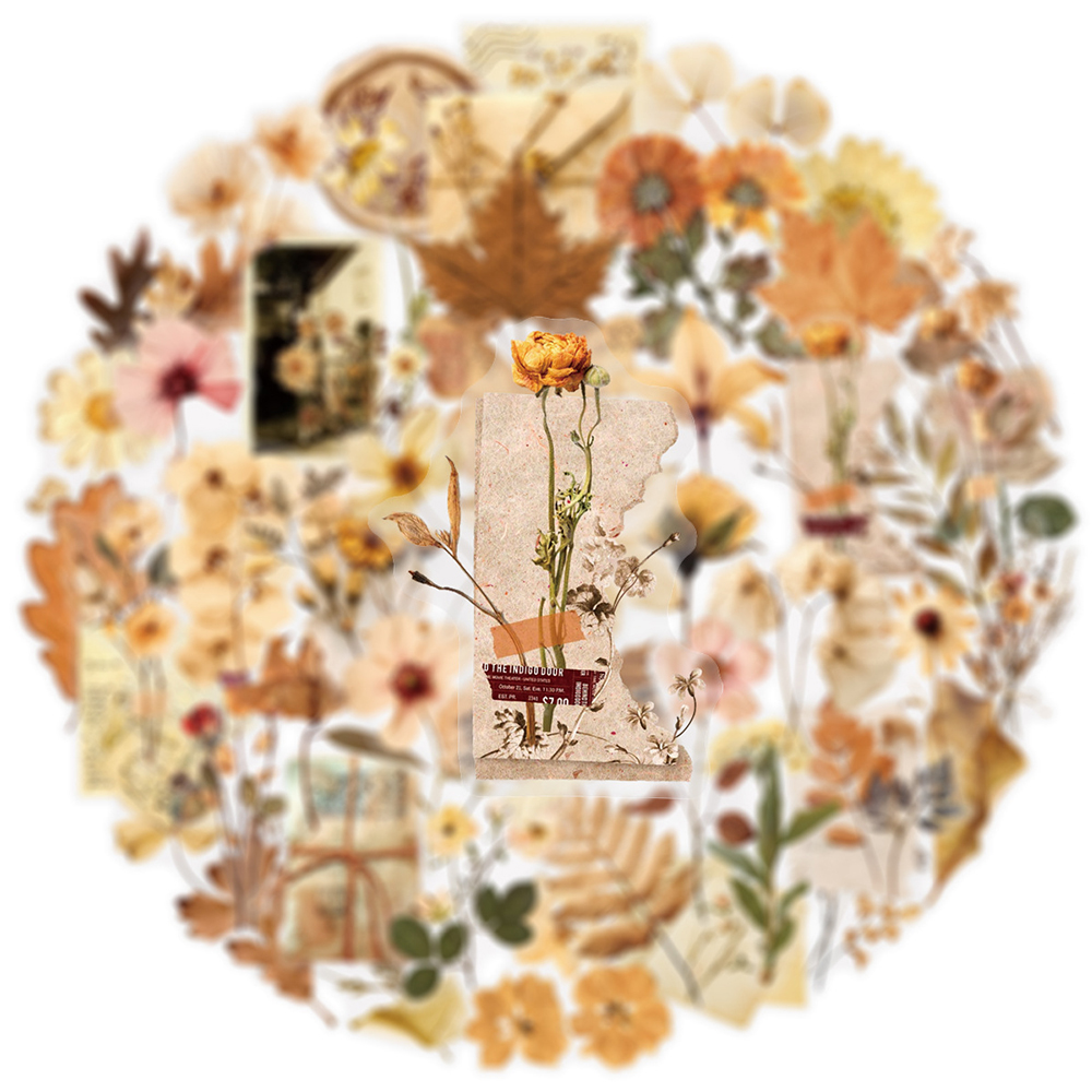 10/30/50pcs Transparent Dried  - Dried Flower Bulk review and price