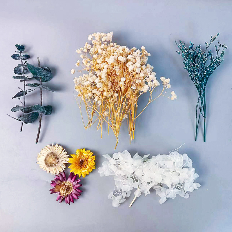 1pack Multifarious Dried Flowe - Dried Flower Bulk review and price