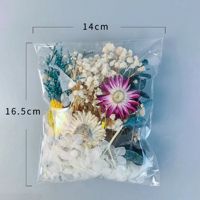 1pack Multifarious Dried Flowe - Dried Flower Bulk review and price
