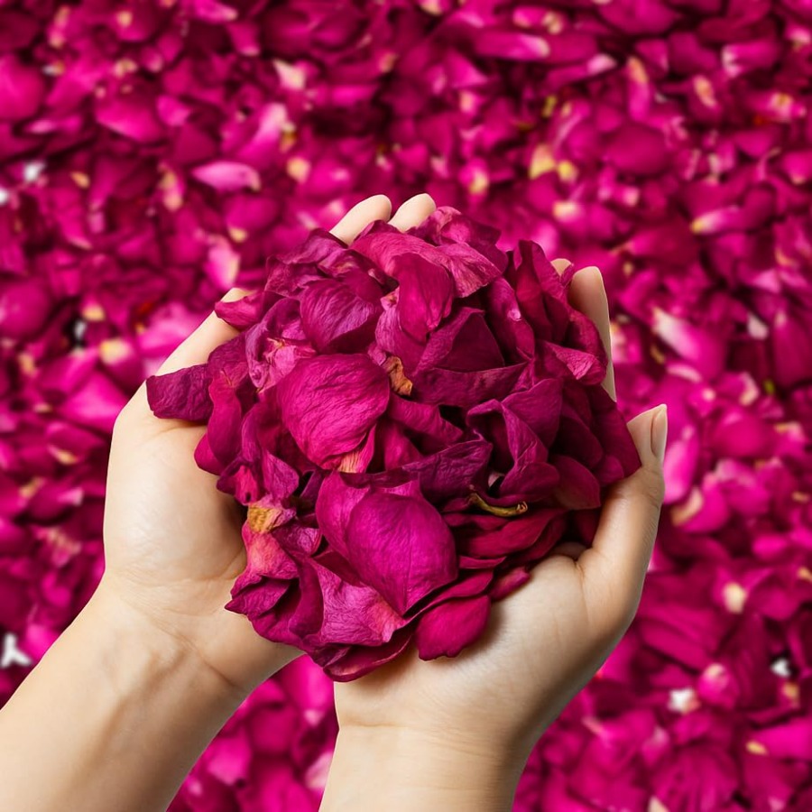 Dried Rose Petals Bulk 5oz Nat - Dried Flower Bulk review and price