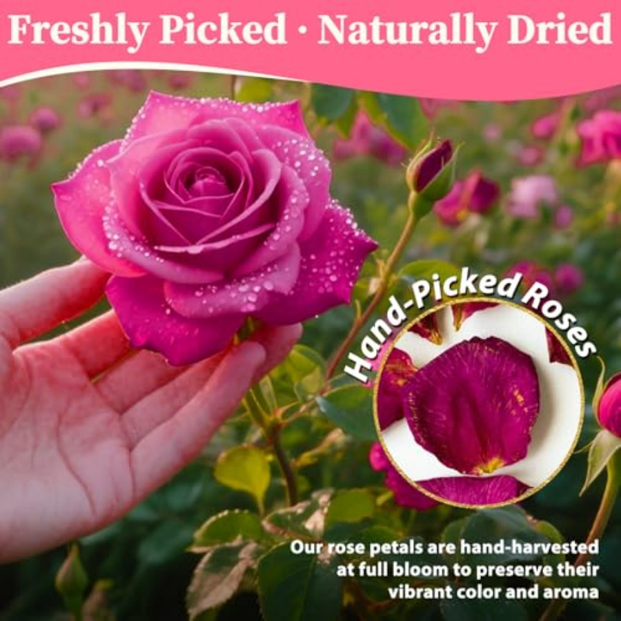 Dried Rose Petals Bulk 5oz Nat - Dried Flower Bulk review and price